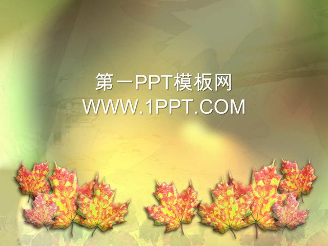 秋天的枫叶背景PPT模板
