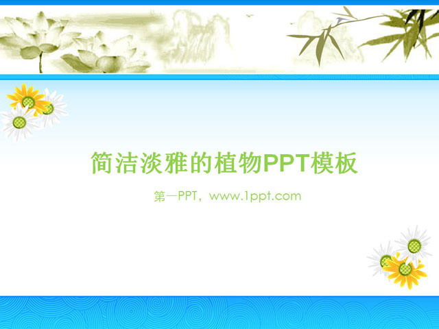 淡雅菊花背景植物PPT模板下载